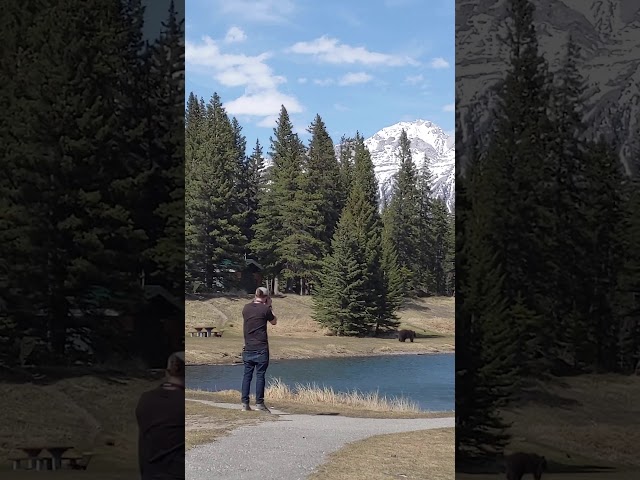 Man Runs From Bear in Picturesque Banff
