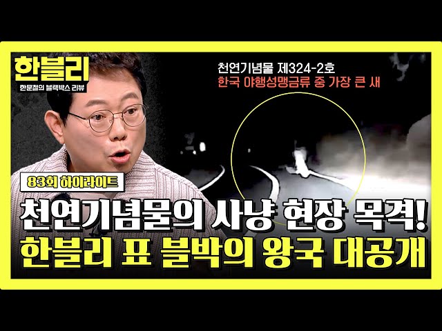 [하이라이트] 우연히 마주친 '천연기념물'의 사냥 현장👀 블박에 그대로 찍힌 새🦉의 정체는?! | 한블리 (한문철의 블랙박스 리뷰) | JTBC 240618 방송