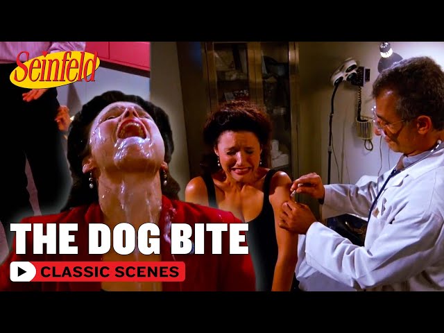 Elaine Needs A Rabies Shot | The Glasses | Seinfeld
