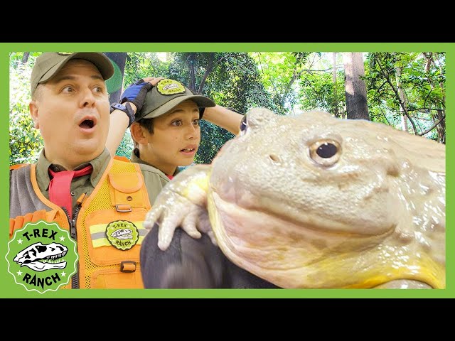 Andy and AJ and the Reptile Zoo | T-Rex Ranch Dinosaur Videos