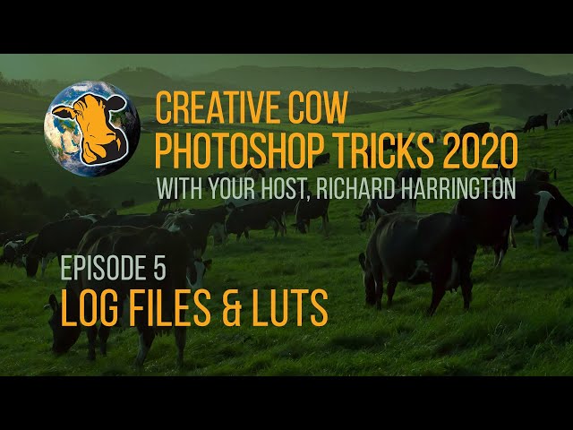 05 - Adobe Photoshop Tricks 2020 with Richard Harrington - Log files & LUTs