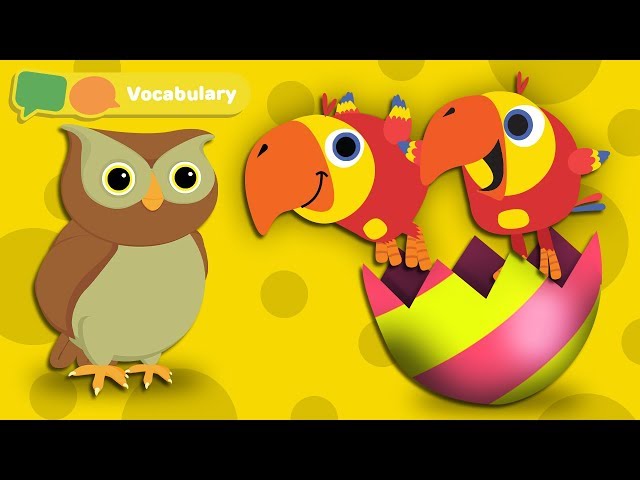 Learning First Words for Babies w Larry The Bird - Animal Sounds | Baby Sensory | First University