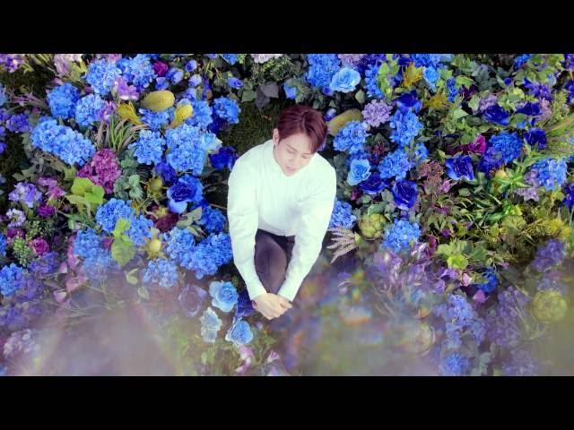 BEAST(비스트) - 'Butterfly' MV