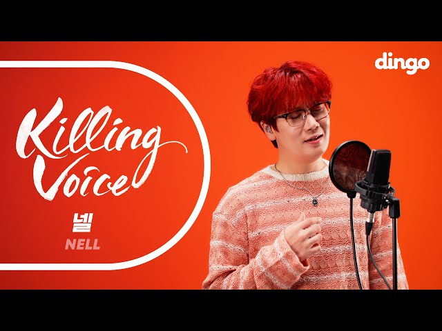 넬(NELL)의 킬링보이스를 라이브로! (With.종완) -Cliche, 지구가 태양을 네번, 기억을 걷는 시간, 멀어지다, 마음을 잃다, 오분뒤에 봐, 헤어지기로 해ㅣ딩고뮤직