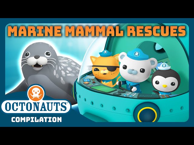 @Octonauts -  🦭 Marine Mammal Rescues ⛑️ | 2 Hours+ Full Episodes Marathon | Explore the Ocean