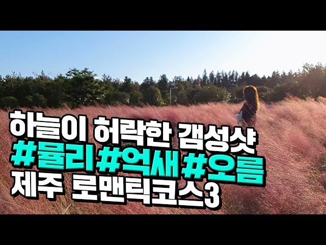 [canⓓ] 지금 제주도에서 사진 예술로 나오는 갬성샷 코스 3