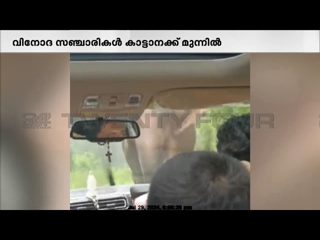 പത്തനംതിട്ട ആനത്തോട്ടിൽ ഗവിയാത്രക്കാർക്ക് നേരെ കാട്ടാനയുടെ ആക്രമണം