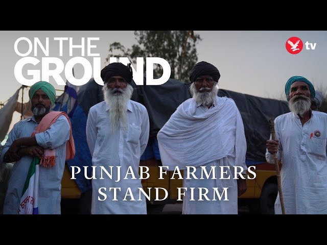 Indian farmers use election to make voices heard against Narendra Modi | On the Ground