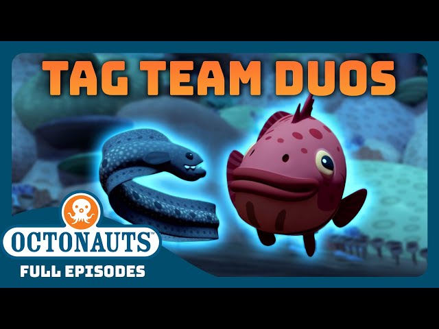 @Octonauts - 🦭 Awesome Tag Team Duos 🦭 | Bumper Pack Special! | Full Episodes