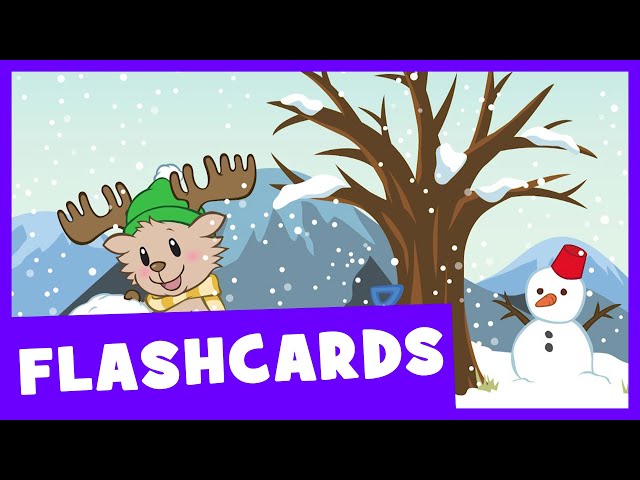 Seasons | Talking Flashcards