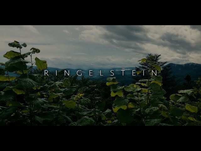 Ringelstein (clip)