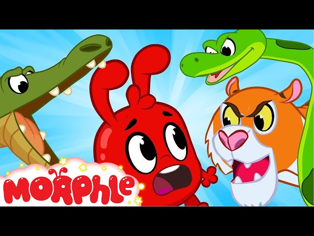 Morphle and The Scary Animals - Morphle | Cartoons For Kids | Mila and Morphle