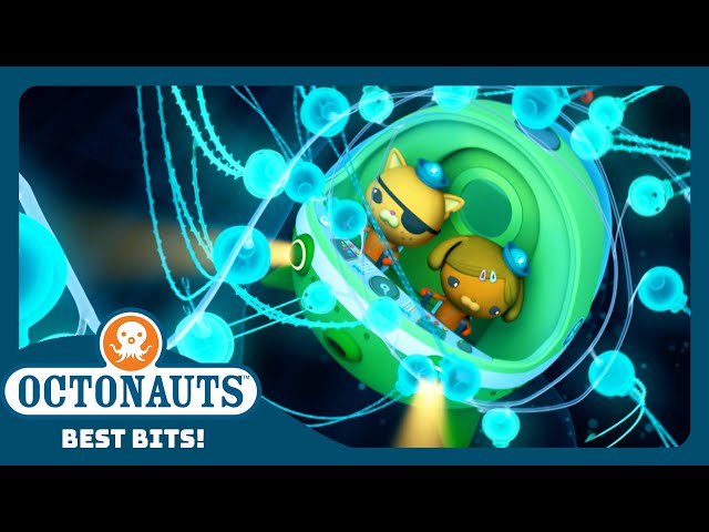 @Octonauts - 🪢 Entangled by the Giant Siphonophore 🎐 | Season 3 | Best Bits!