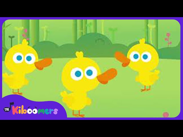 Ducks Song  - The Kiboomers Preschool Songs & Nursery Rhymes for Circle Time