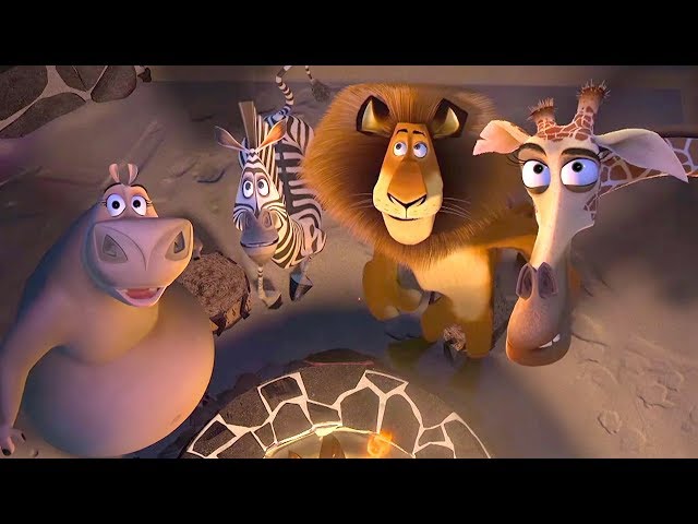 DreamWorks Madagascar | Wild Sweet Wild - Madagascar Movie Clip | Madagascar | Kids Movies