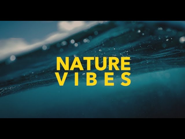 Nature Vibes - Hawaii 4k