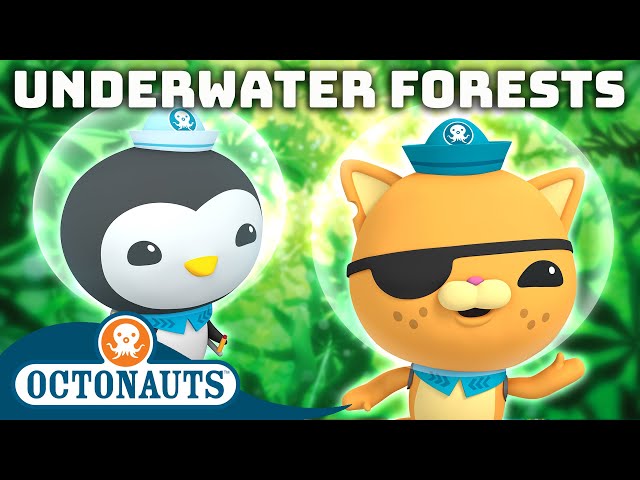 ​@Octonauts - Underwater Forests 🌱 | 40+ Mins | Cartoons for Kids | Underwater Sea Education