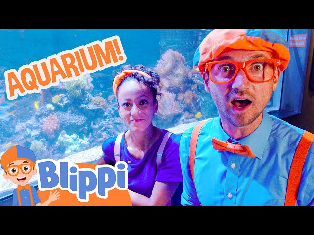 Blippi and Meekah Visit an Aquarium | Full Episodes | Animal Videos for Kids | Blippi Toys