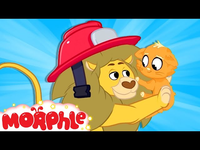 Fireman Cat - My Magic Pet Morphle | Cartoons For Kids | Morphle TV