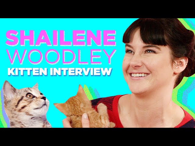 Shailene Woodley Plays With Kittens (While Answering Fan Questions)