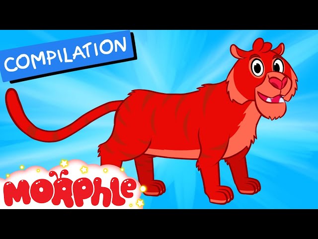 My Pet Tiger  - My Magic Pet Morphle Episode 32