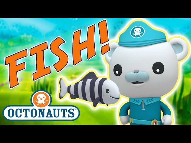 Octonauts - Learn about Fish | Cartoons for Kids | Underwater Sea Education