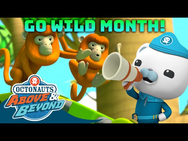Octonauts: Above & Beyond - Everyone Go Wild! | Go Wild Month Compilation | @Octonauts​