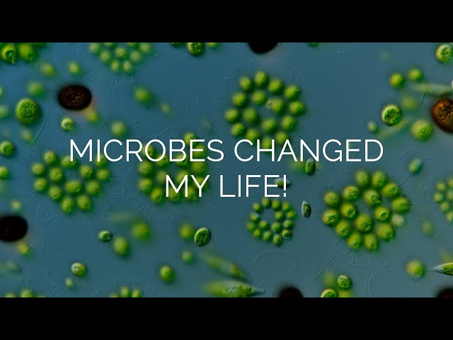 Microbes & Me
