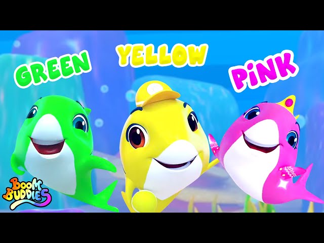 Learn Colors with Baby Shark Song & Finger Family + More Kids Rhymes