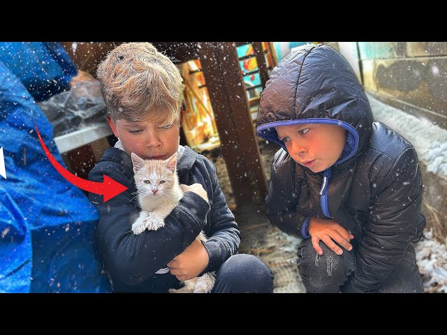We Found An Abandoned Baby Kitten In the Snow!! 🧡