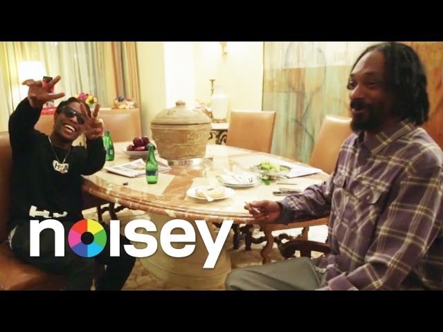 A$AP Rocky Back & Forth Teaser ft. Snoop Lion, Riff Raff, Kathy Griffin, and Bun B - Back & Forth