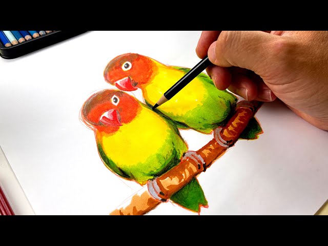 How To Draw Love Birds - Advanced