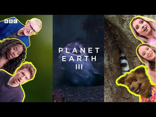 Who narrates it best?! | Planet Earth III: Celebs take over - BBC