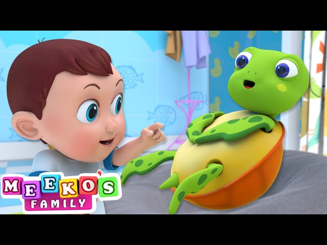I Had A Little Turtle Song 🐢😻 + Fun Animals Songs For Kids | Meeko's Family