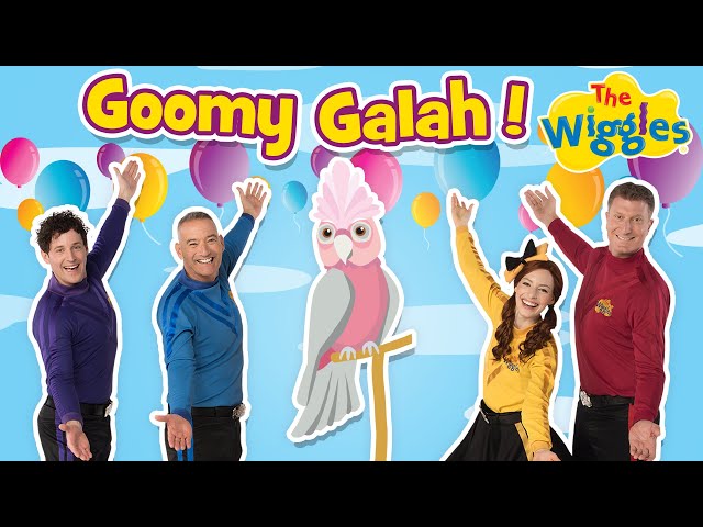 Goomy Galah 🦜 The Wiggles