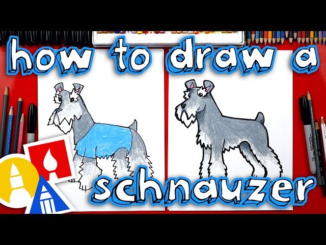 How To Draw A Schnauzer