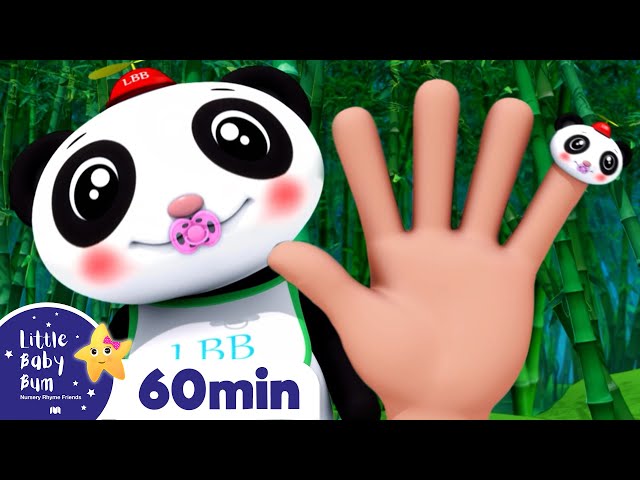 Panda Finger Family +More Nursery Rhymes and Kids Songs | Little Baby Bum