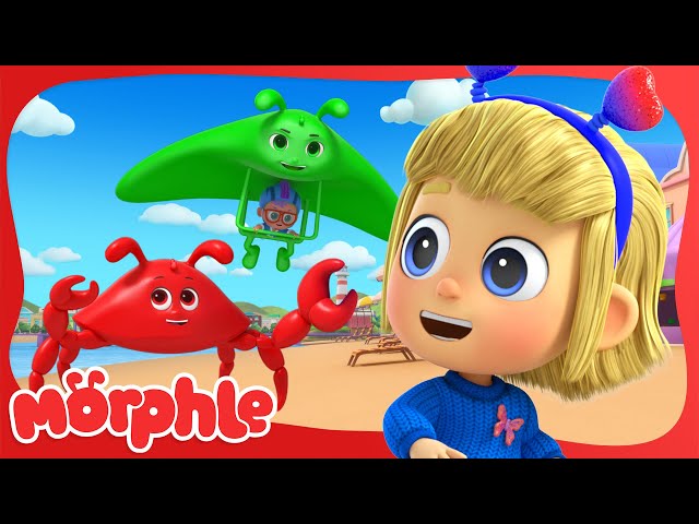 Morphle the Crabs Day at the Beach 🦀🏖️| BRAND NEW | Cartoons for Kids | Mila and Morphle