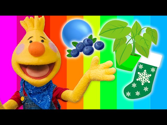What's Your Favorite Color | Sing Along With Tobee
