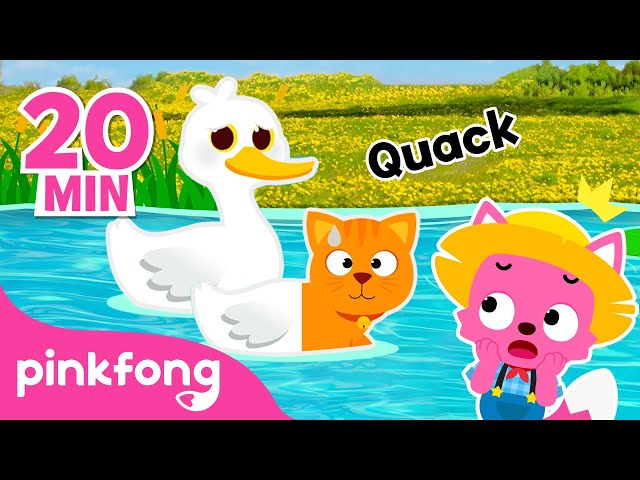 Quack? Let's find the Animal Sound in Farm & Jungle | Story for Kids | Pinkfong Official
