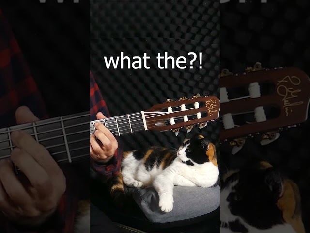 Roxy's Epic Reaction to Billy Joel Song! #guitarcover #billyjoel