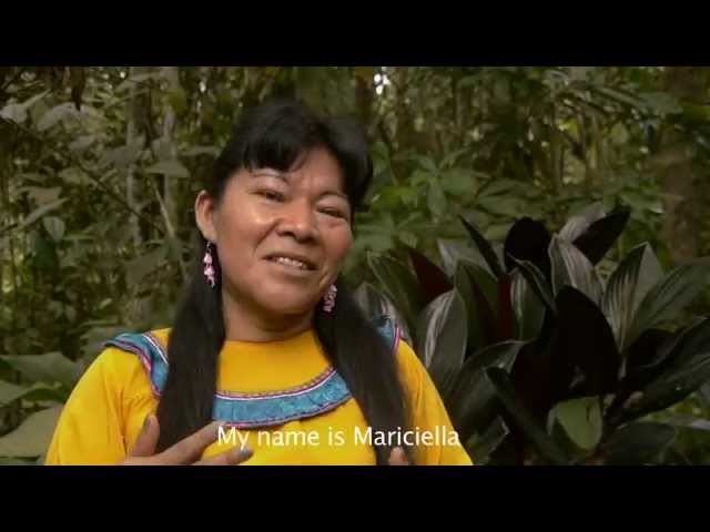 Maestra Maricela - Noma Noma Ikaro