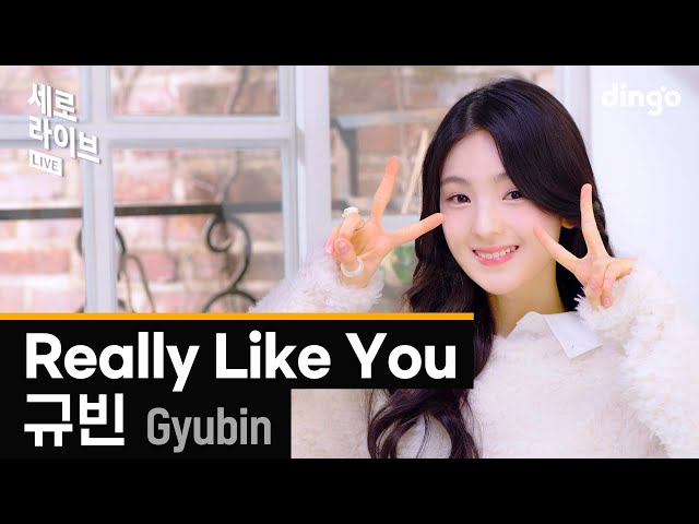 [세로라이브] 규빈(GYUBIN) – Really Like Youㅣ딩고뮤직ㅣDingo Music