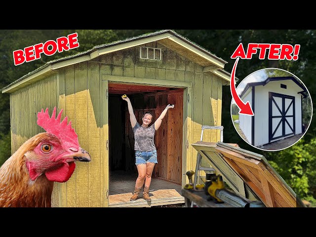 Turning Our Old Storage Shed Into a Modern Chicken Coop!!