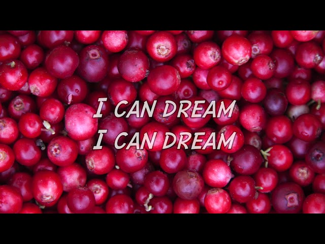 Skunk Anansie - I Can Dream (with Lyrics)