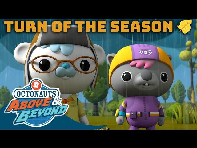 Octonauts: Above & Beyond - ♻️ Turn of the Season | Autumn Special! 🍂 | Compilation | @Octonauts​