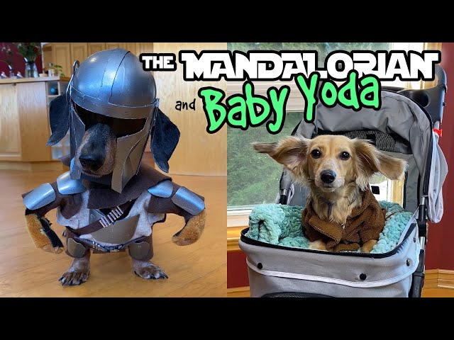 Ep#10: The Mandalorian & Baby Yoda - DOG EDITION (Homemade Costume)