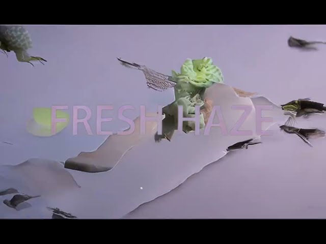 Kutiman - Fresh Haze (Official Video)