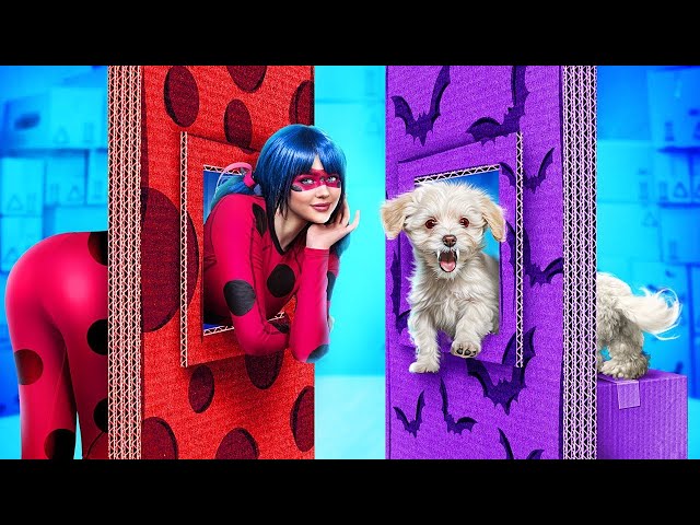 Miraculous Ladybug and Vampire! Hide and Seek in Boxes Challenge!