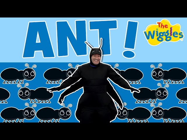 Anthony Ant | The Wiggles feat. Jack Gatto | Kids Animal Songs